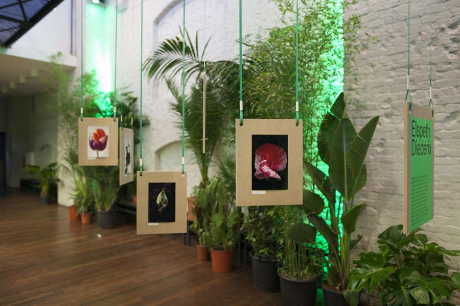 Image of Let it Grow - Pop-up store